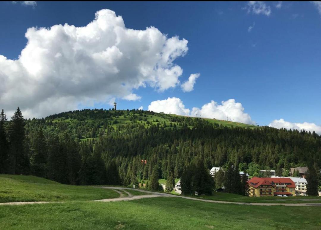 Ferienwohnung Feldberg Mit Whirlpool Direkt An Der Skipiste Esterno foto